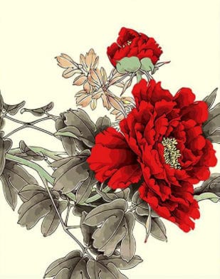 paintingnumberart Paint by Numbers Kit –   Big Red flower