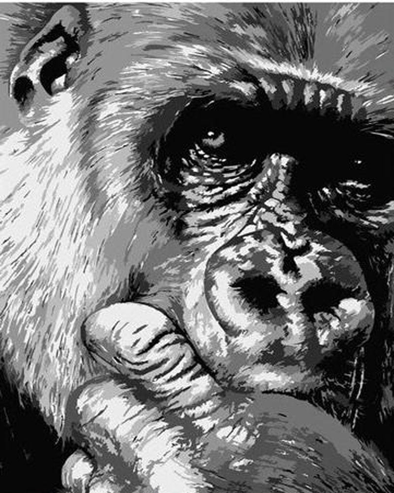 paintingnumberart Paint By Numbers Kit – Black And White Chimpanzee