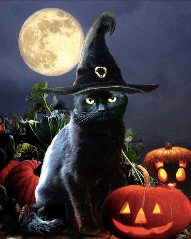 paintingnumberart Paint By Numbers Kit – Black Cat 2