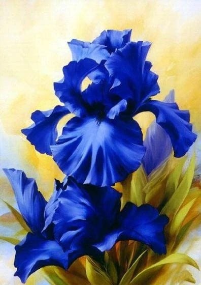 paintingnumberart Paint by Numbers Kit – Blue flower