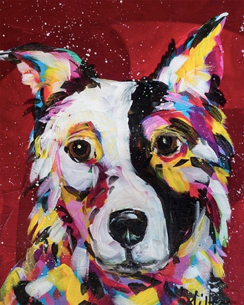 paintingnumberart Paint By Numbers Kit – Border Collie Dog