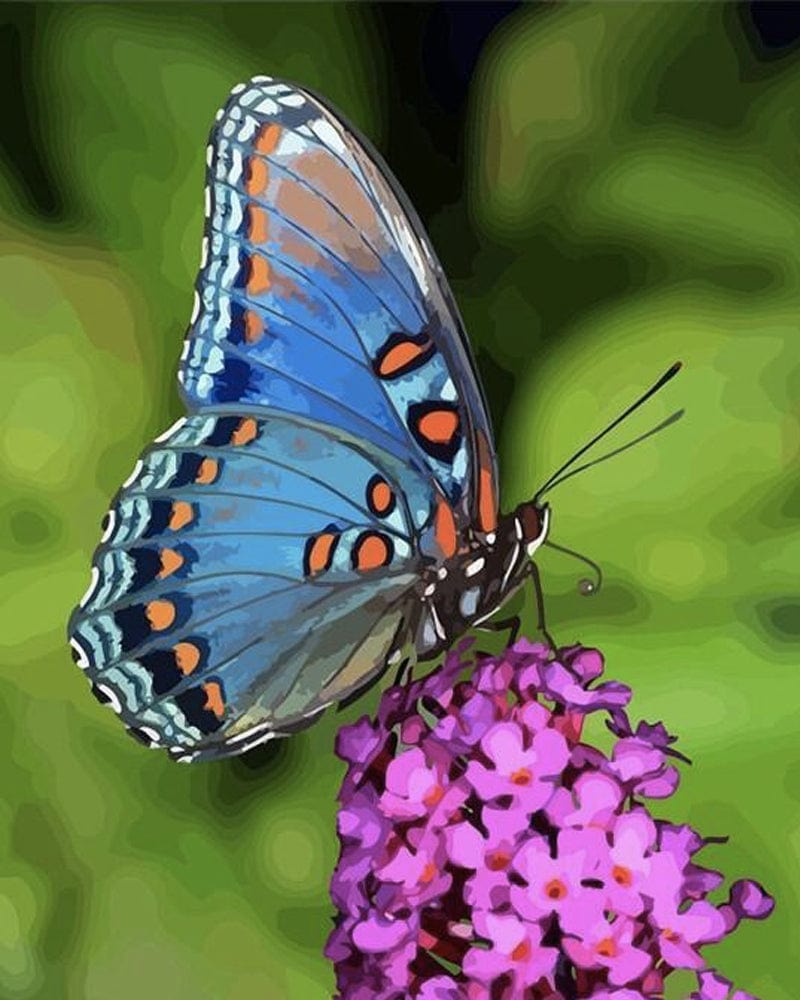 paintingnumberart Paint By Numbers Kit – Butterfly Flowers