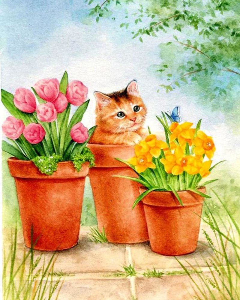 paintingnumberart Paint By Numbers Kit-Cat
