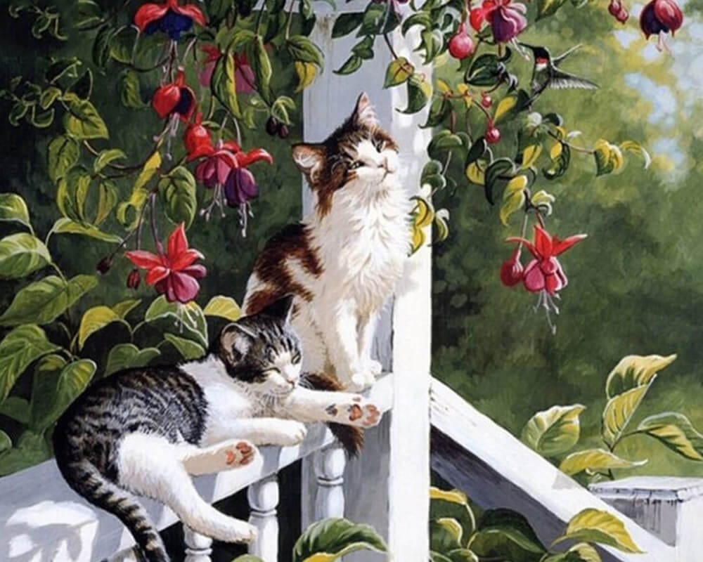 paintingnumberart Paint By Numbers Kit-Cat Couple Sitting in Balcony
