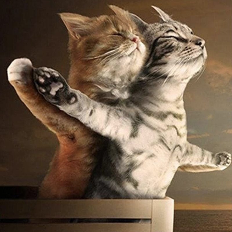 paintingnumberart Paint By Numbers Kit – Cat Titanic Scene