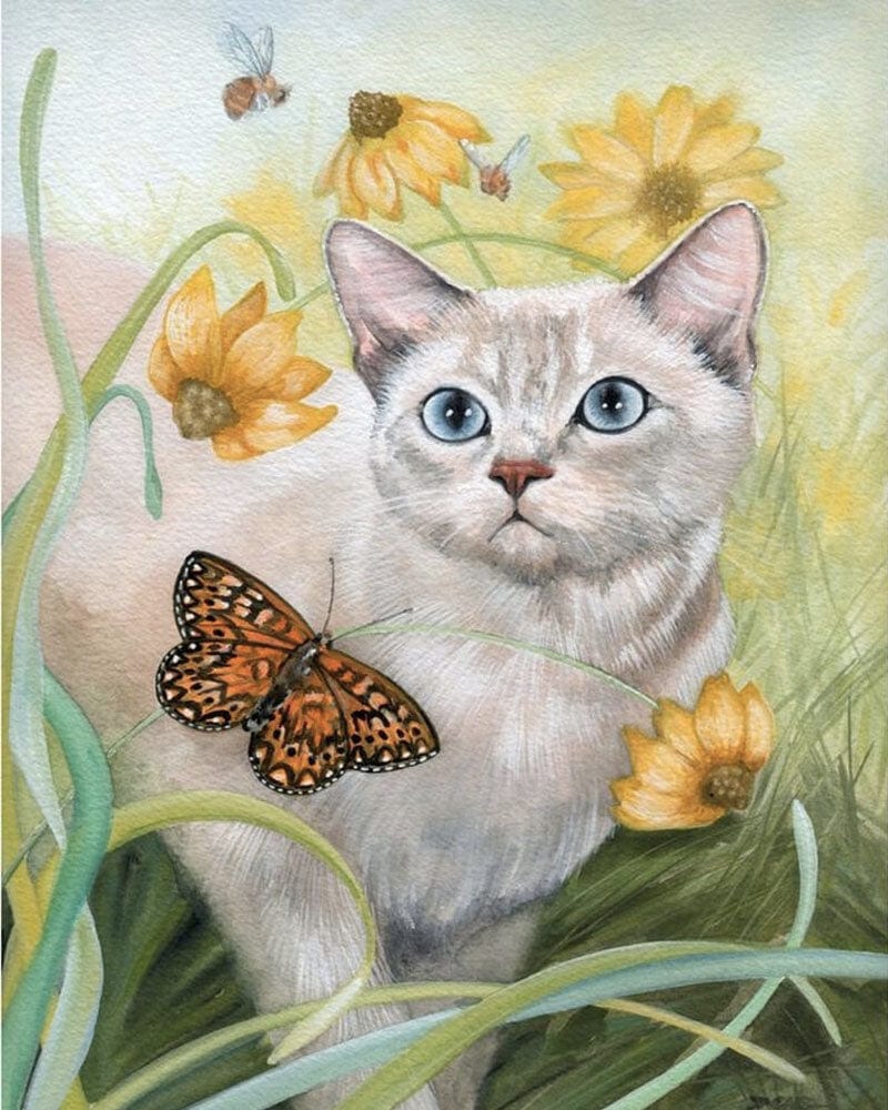 paintingnumberart Paint By Numbers Kit – Cat with Butterflies