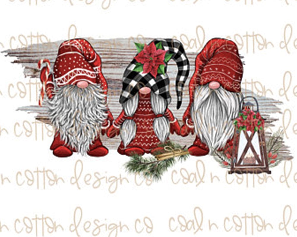 paintingnumberart Paint By Numbers Kit-Christmas Gnome2