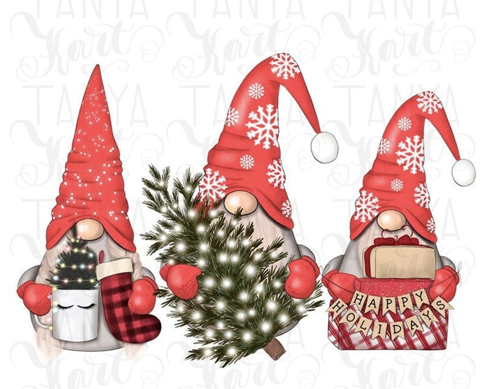 paintingnumberart Paint By Numbers Kit-Christmas Gnome4