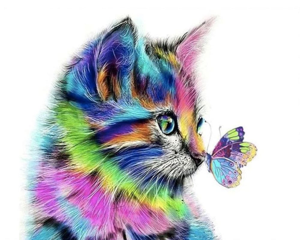 paintingnumberart Paint By Numbers Kit – Colored Cat And Butterfly