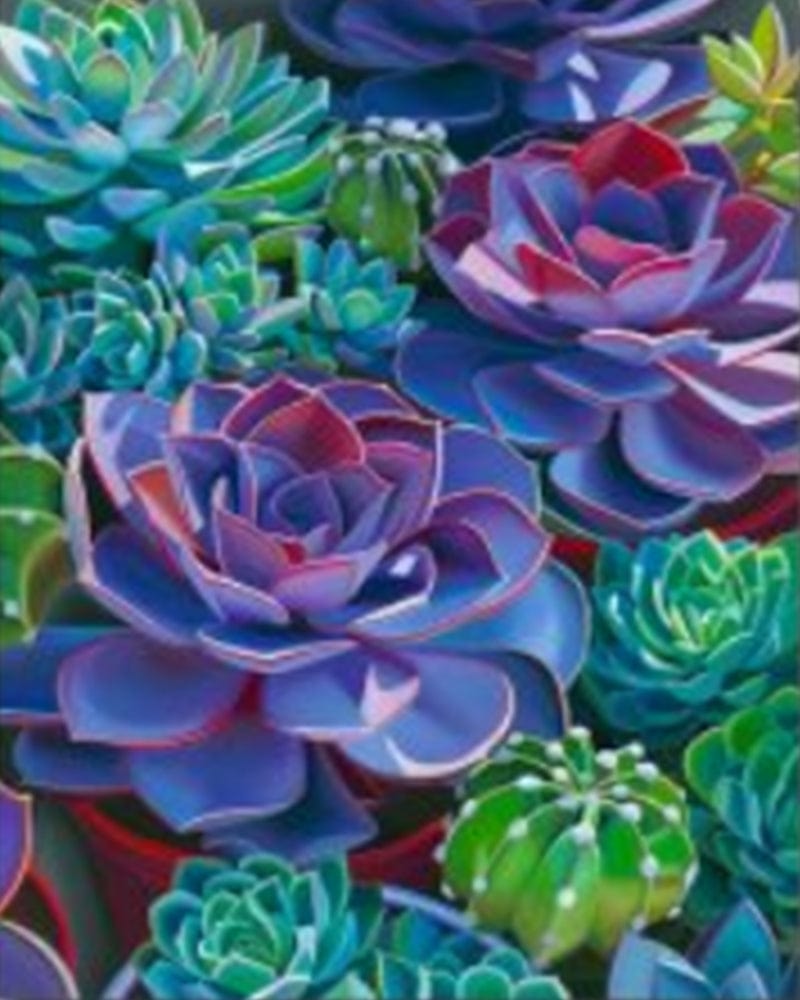 paintingnumberart Paint By Numbers Kit – Colorful Succulent Plant