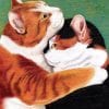 paintingnumberart Paint By Numbers Kit – Coorie