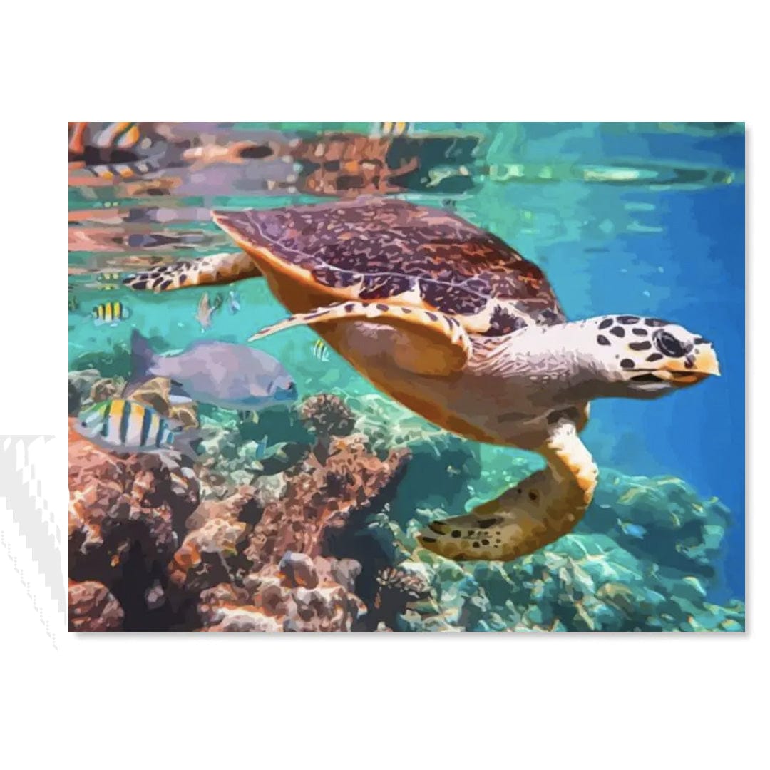paintingnumberart Paint By Numbers Kit – Coral and Sea Turtle kit