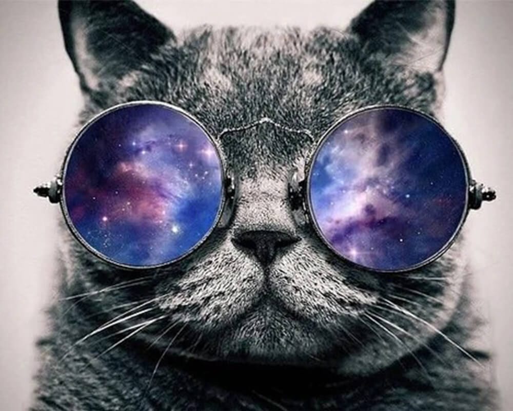 paintingnumberart Paint By Numbers Kit-Cosmic Cat