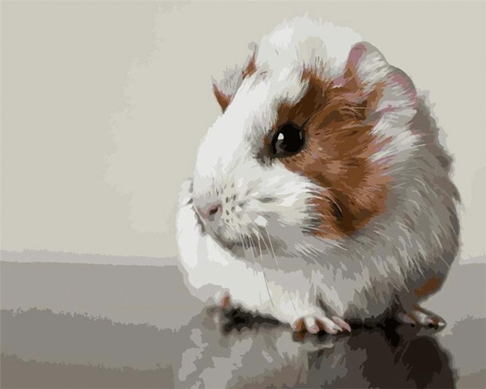 paintingnumberart Paint By Numbers Kit – Cute Guinea Pig