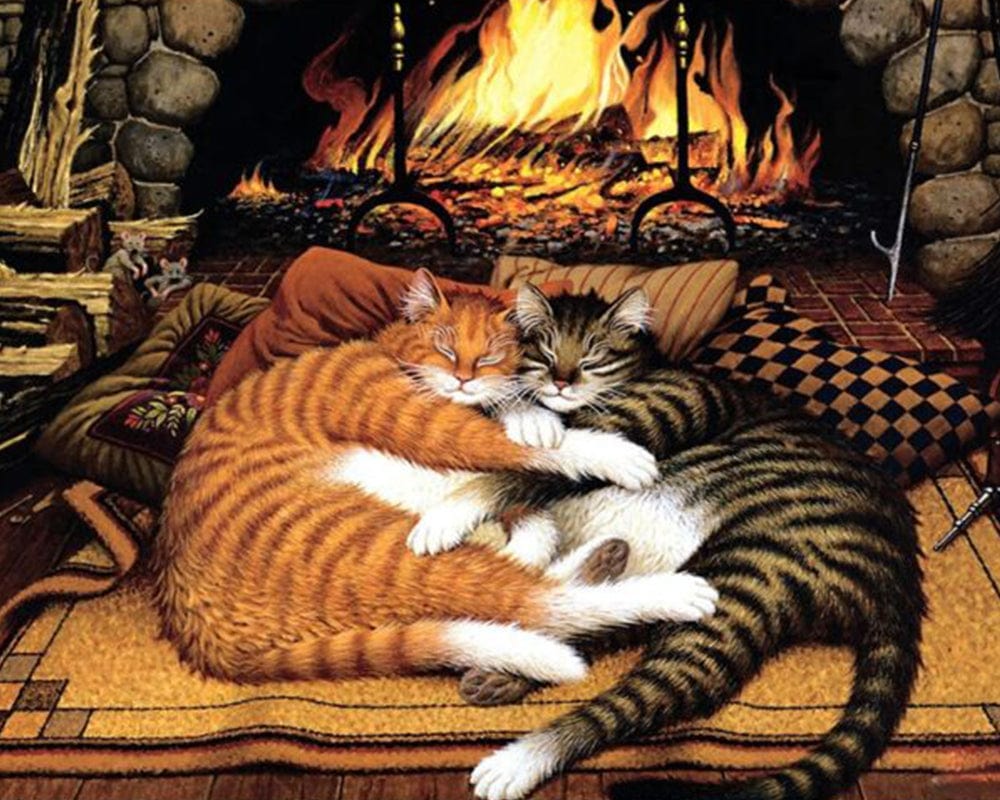 paintingnumberart Paint by Numbers Kit-Cute Loving Cat Couple
