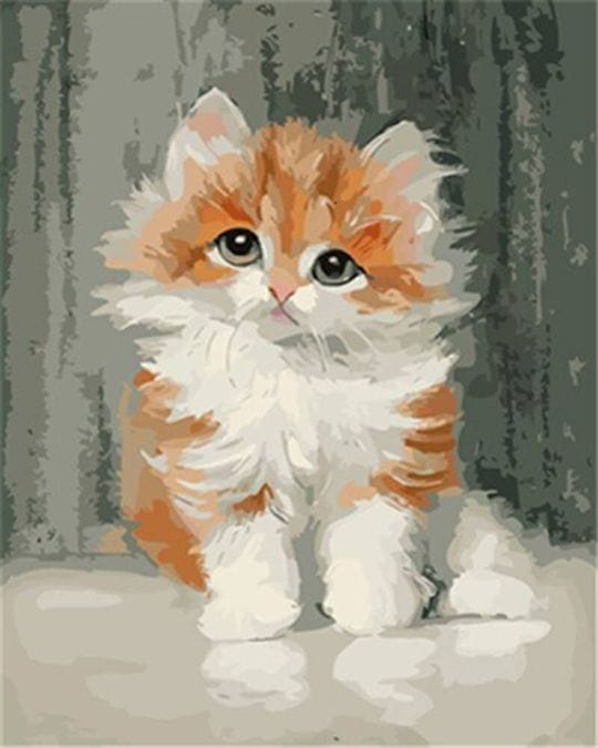 paintingnumberart Paint By Numbers Kit – Daze Kitten