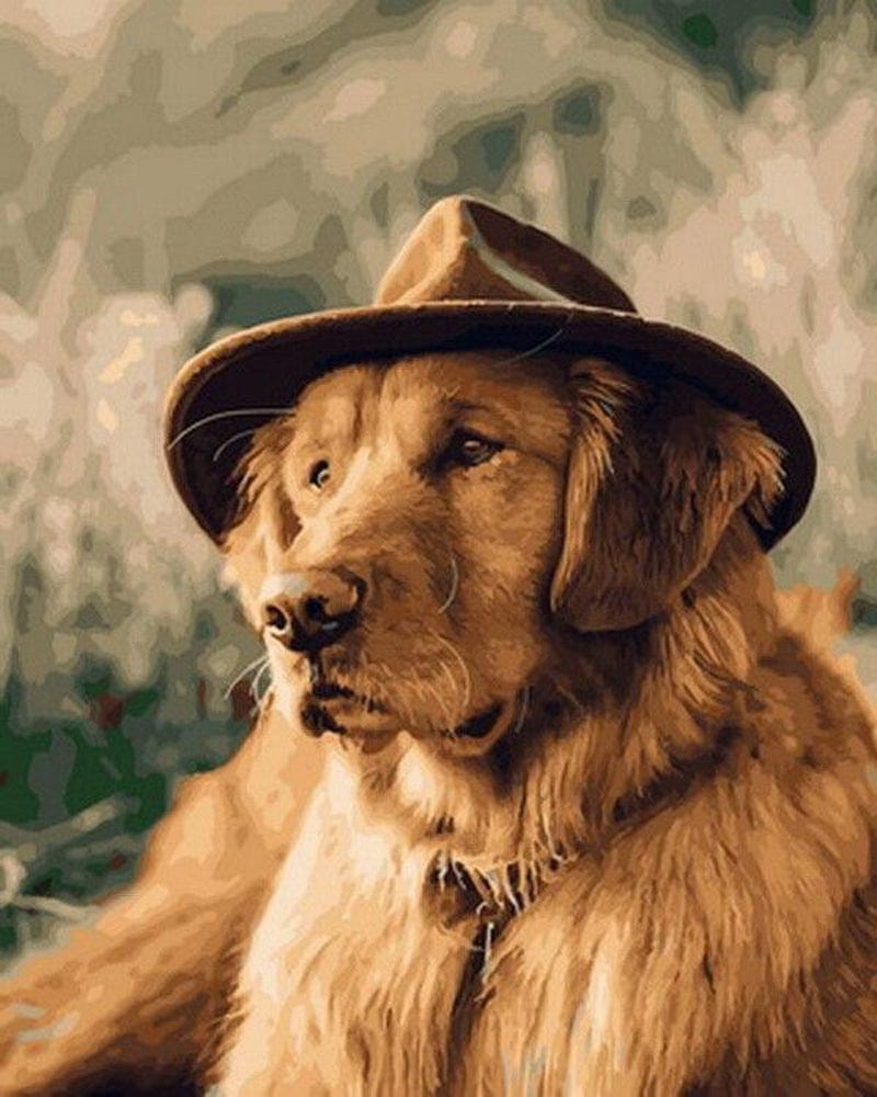 paintingnumberart Paint By Numbers Kit – Dog in hat
