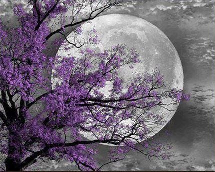 paintingnumberart Paint By Numbers Kit – Flower Tree Moon