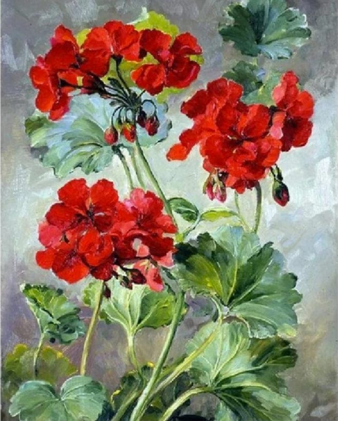 paintingnumberart Paint by Numbers Kit –  flowers, Red Flower Plant