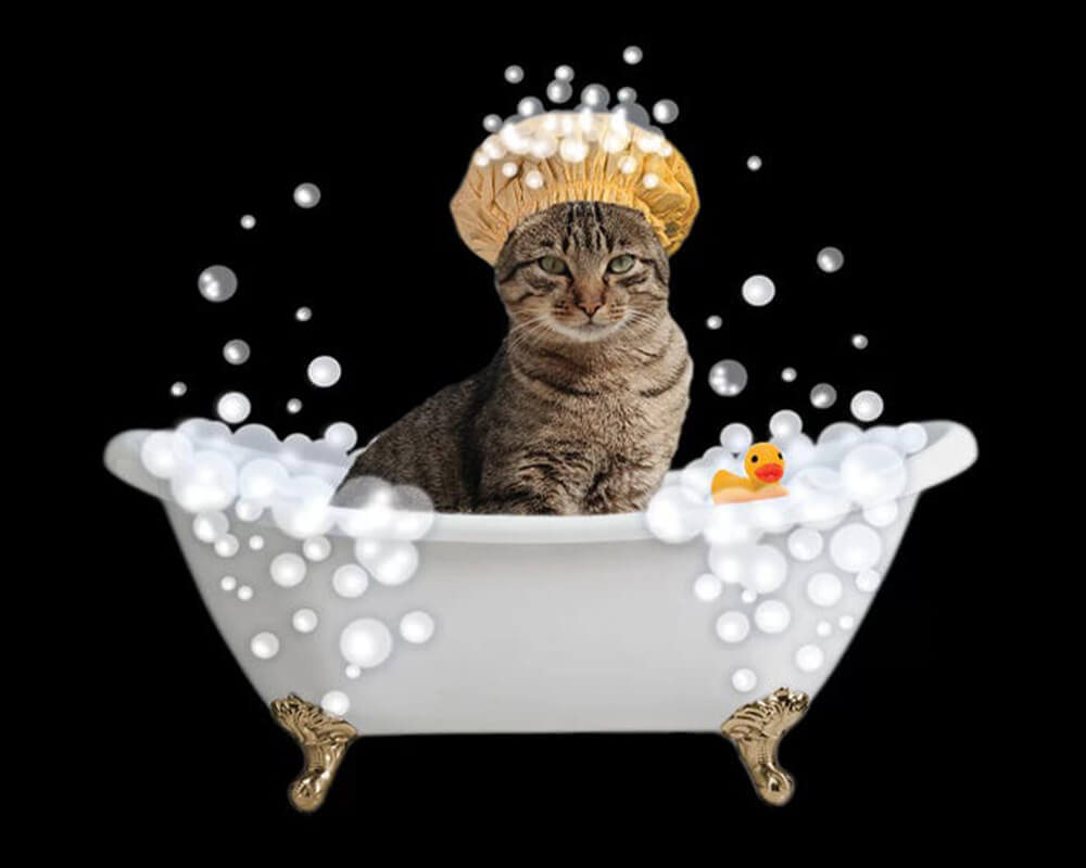 paintingnumberart Paint By Numbers Kit-Fun Kitty Bath