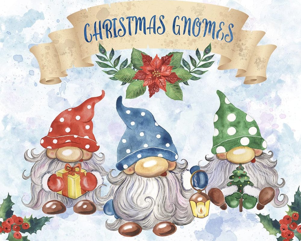 paintingnumberart Paint By Numbers Kit-Gnomes