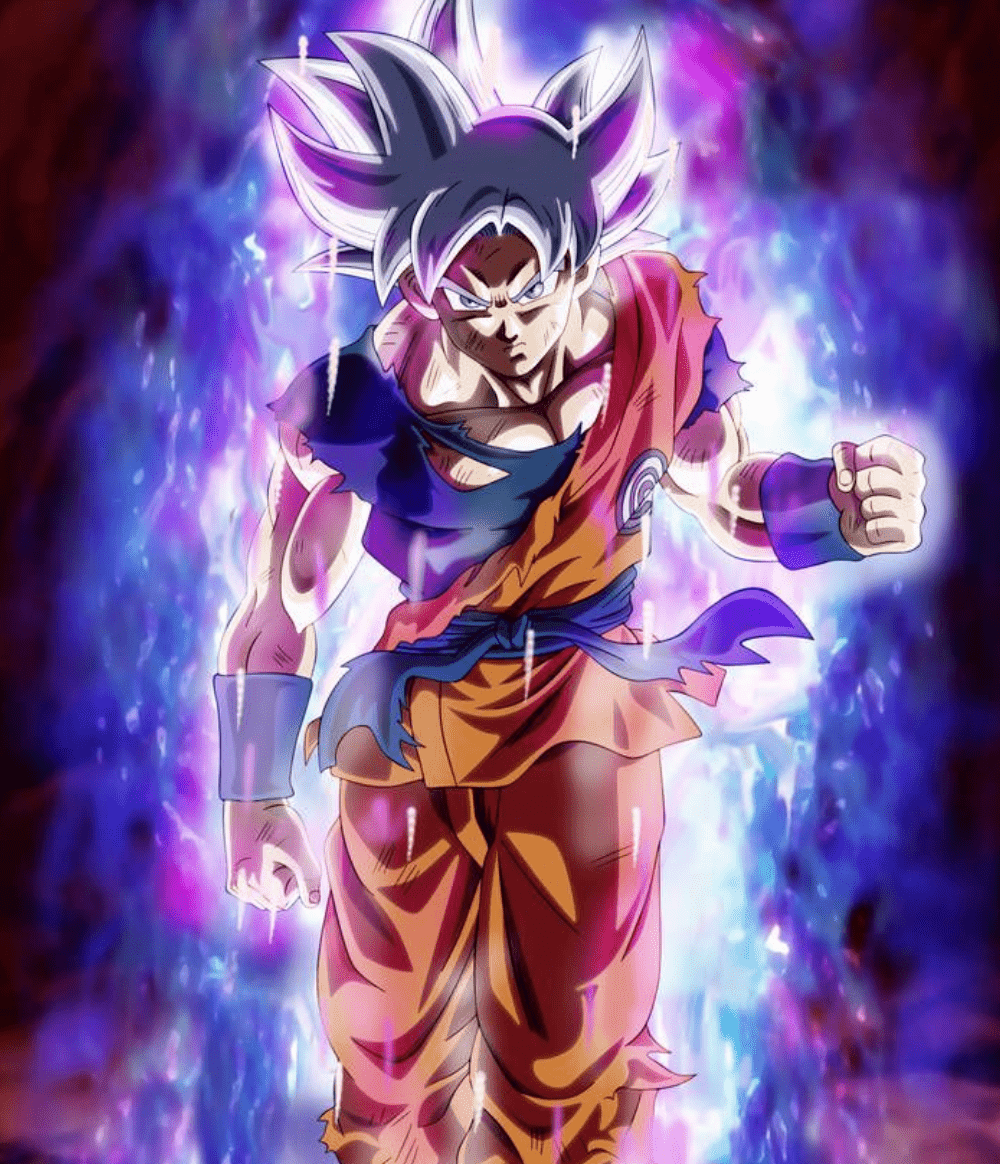 paintingnumberart Paint by Numbers Kit-Goku