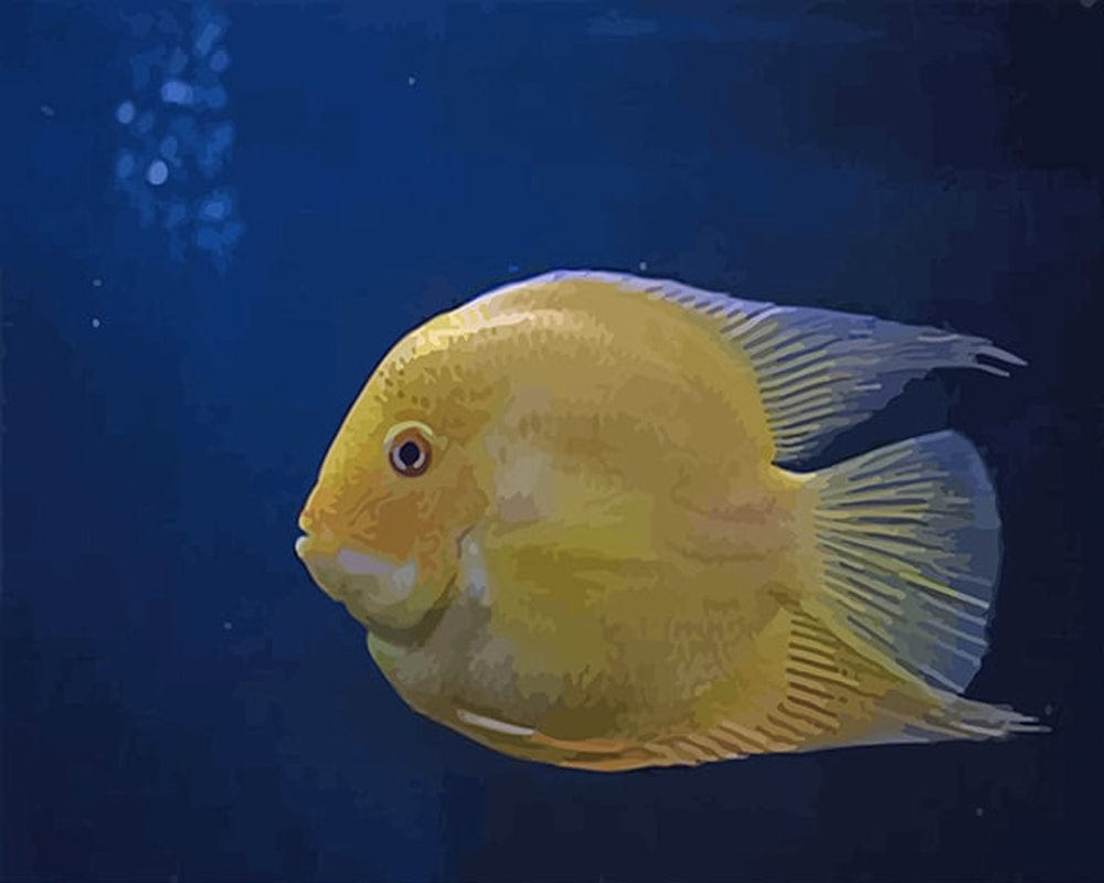 paintingnumberart Paint By Numbers Kit – Golden Fish