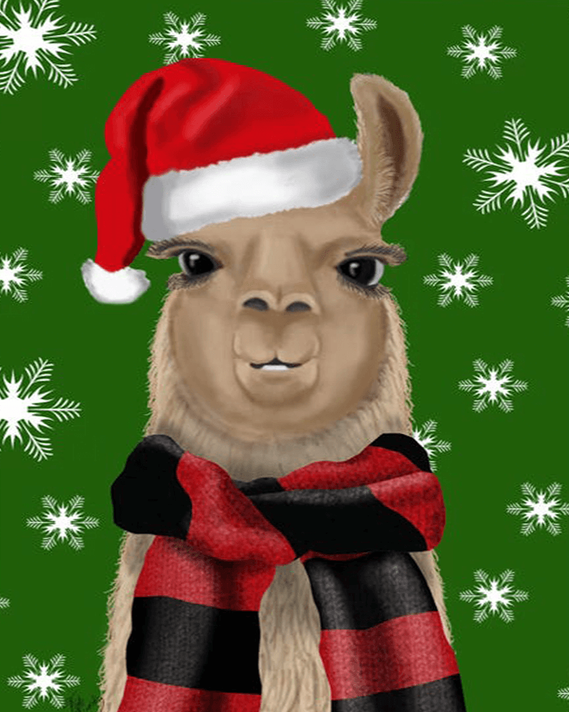 paintingnumberart Paint By Numbers Kit-Guardian – Llama, Christmas Hat