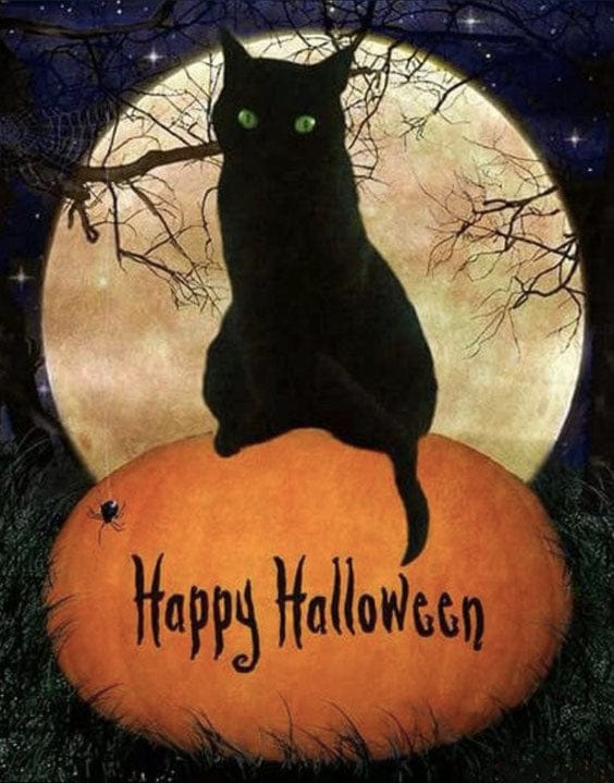 paintingnumberart Paint By Numbers Kit – Happy Halloween