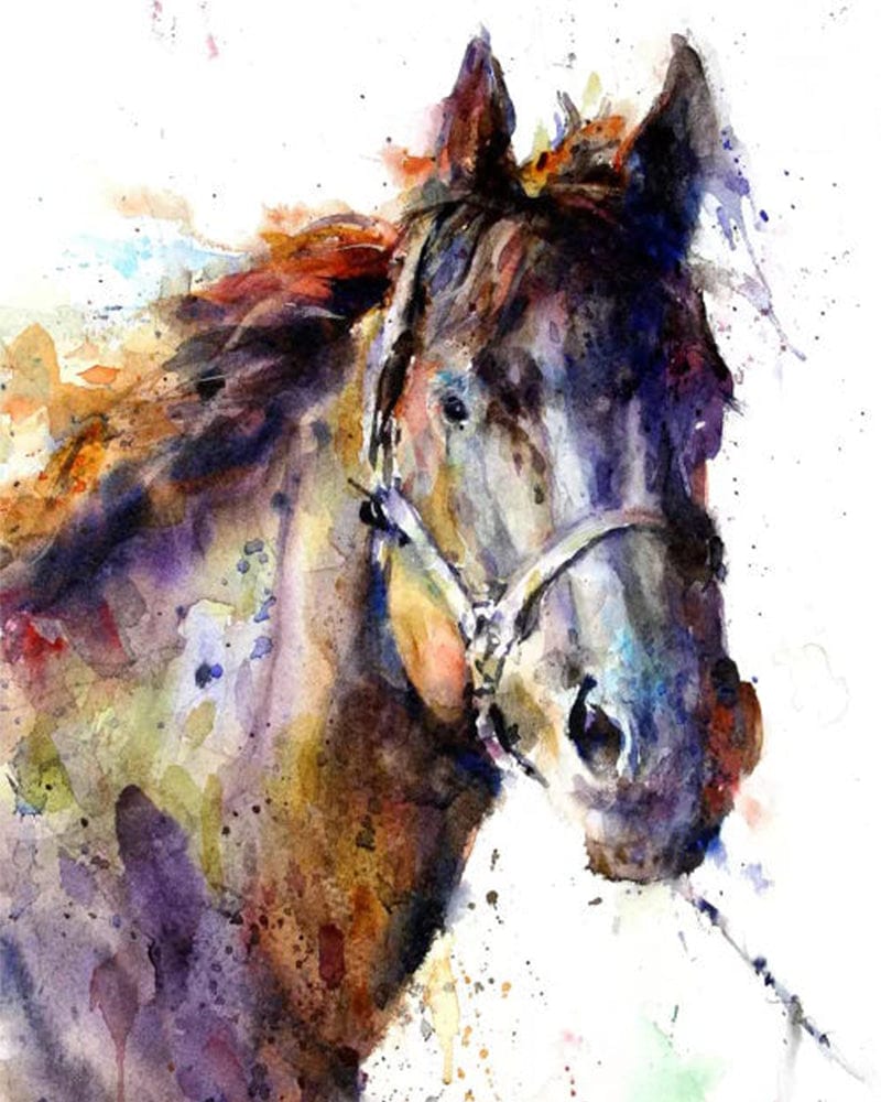 paintingnumberart Paint By Numbers Kit-Horse III