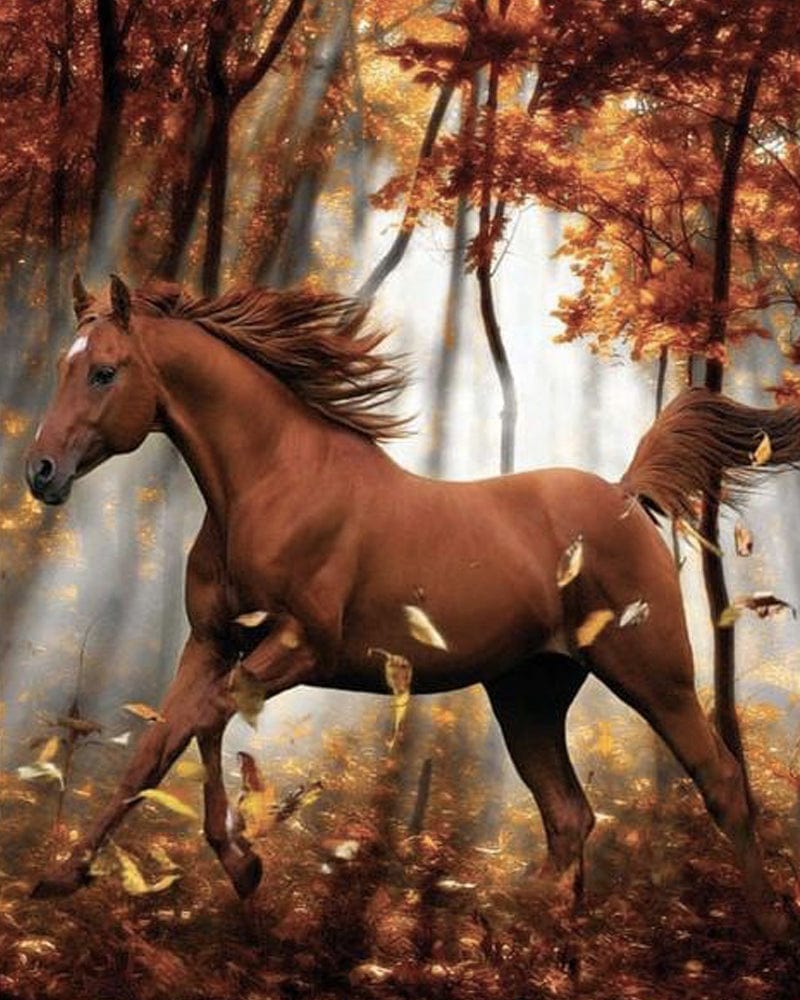 paintingnumberart Paint By Numbers Kit – Horse in Autumn