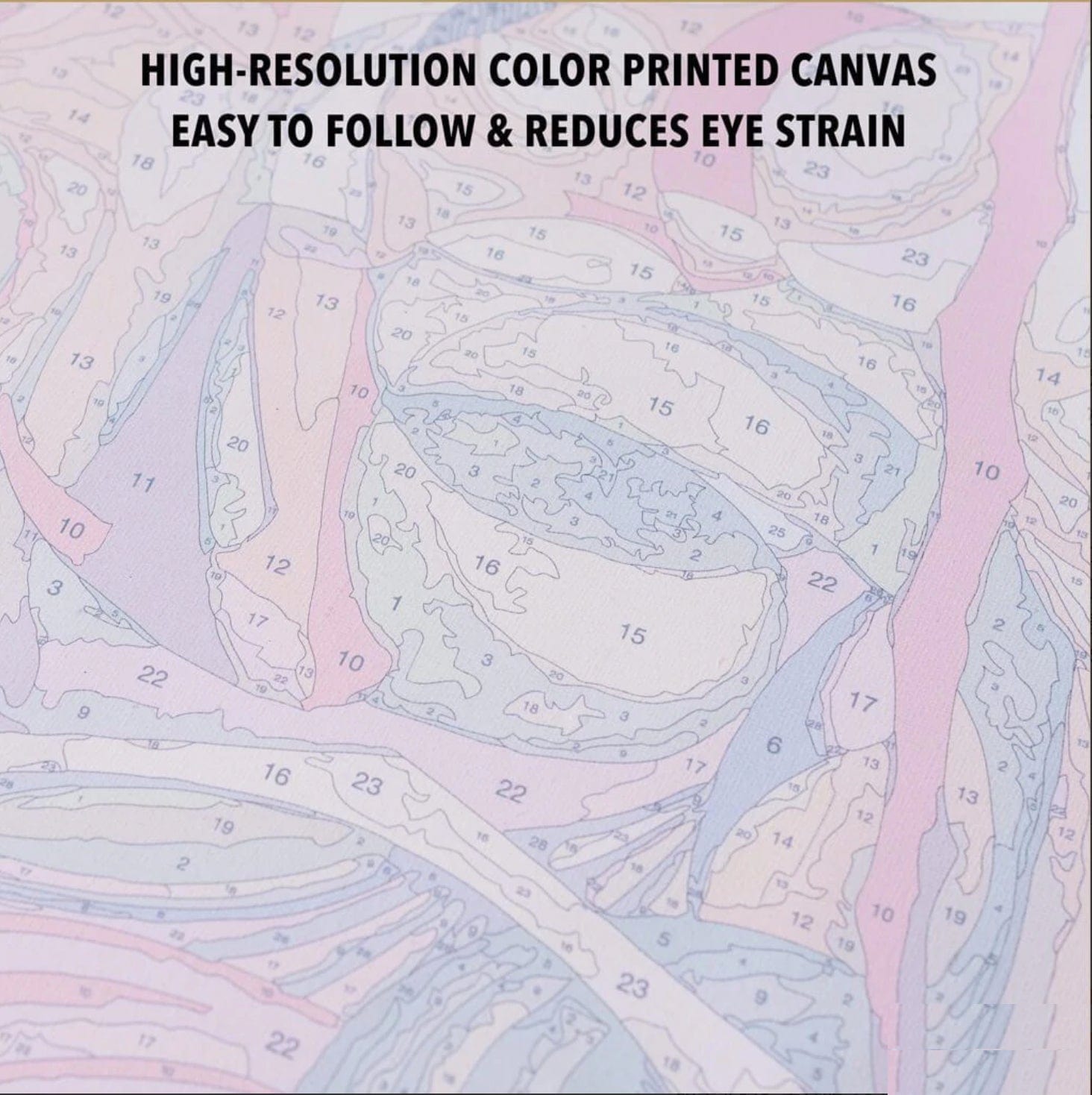 paintingnumberart Paint By Numbers Kit-JODIE