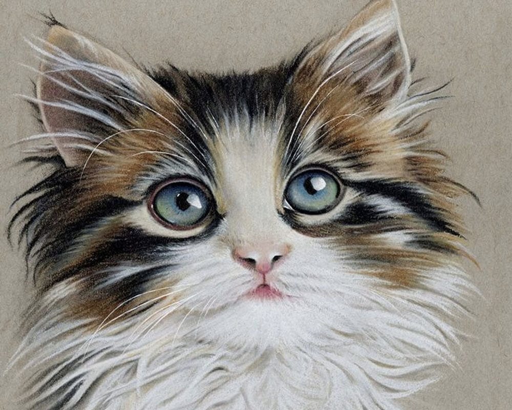 paintingnumberart Paint By Numbers Kit – Kitten with Beautiful Eyes