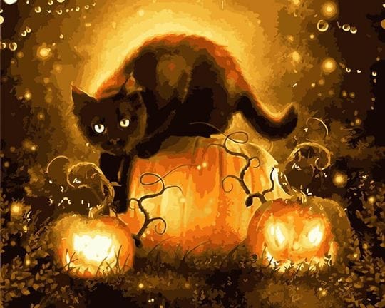 paintingnumberart Paint By Numbers Kit – Magic Cat