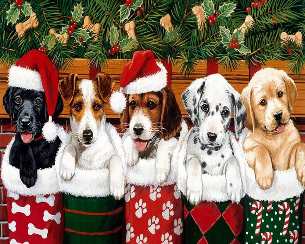 paintingnumberart Paint By Numbers Kit-Mr Christmas Puppies