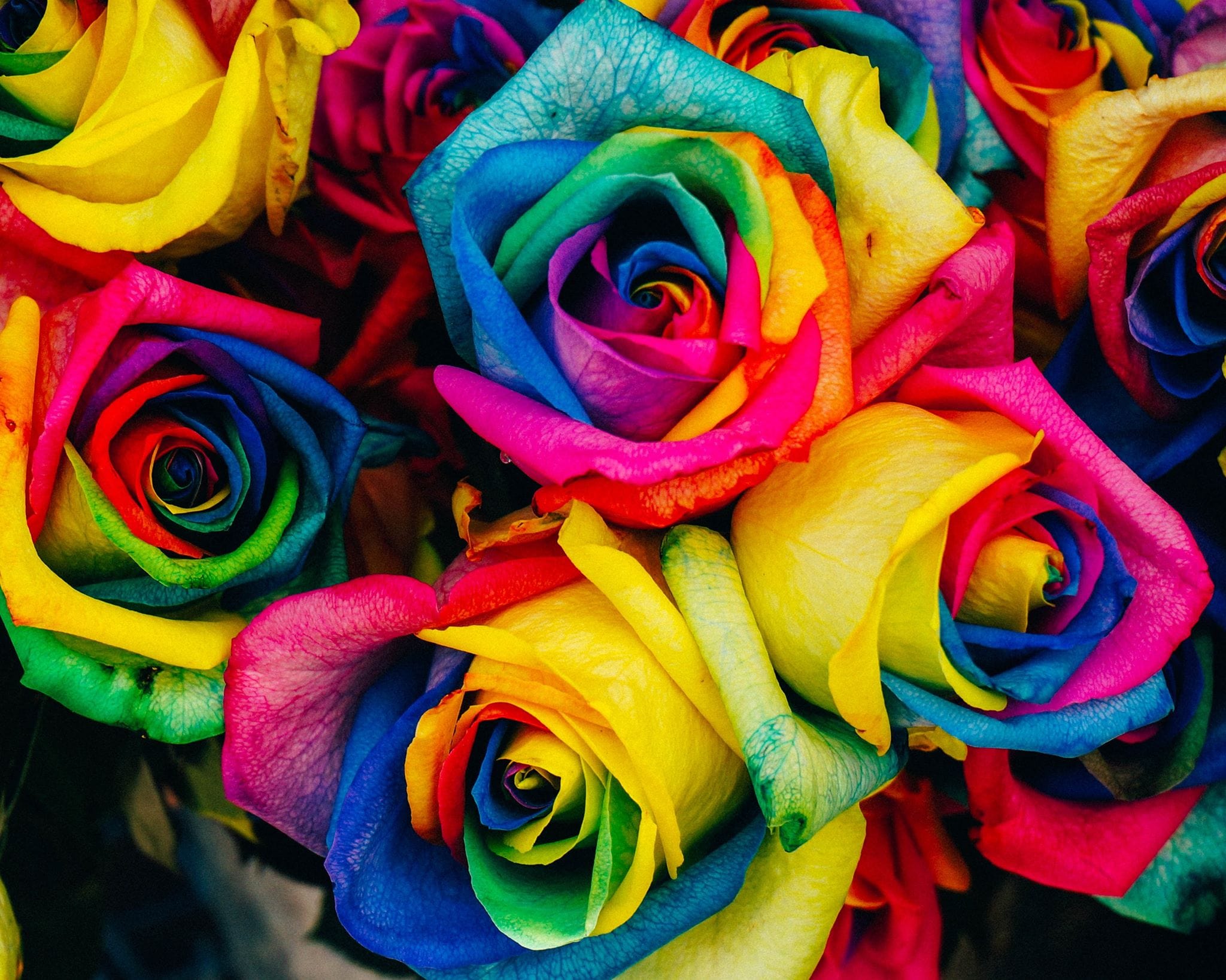 paintingnumberart Paint by Numbers Kit –  Multicolored roses