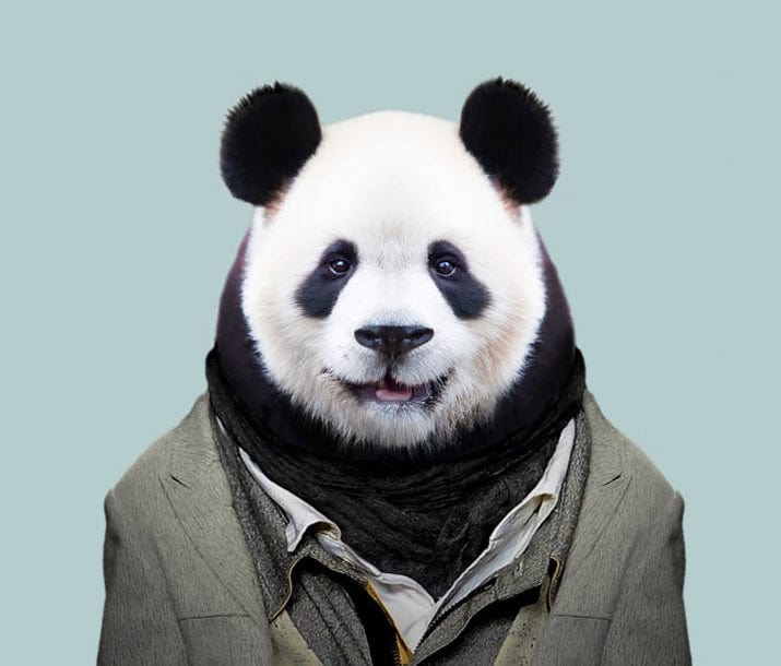 paintingnumberart Paint By Numbers Kit-Panda Man