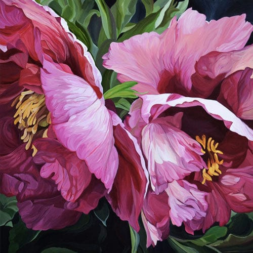 paintingnumberart Paint By Numbers Kit – Pink Peony