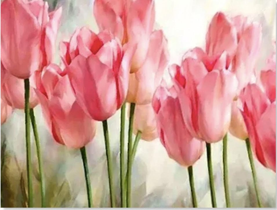 paintingnumberart Paint By Numbers Kit – Pink Tulip
