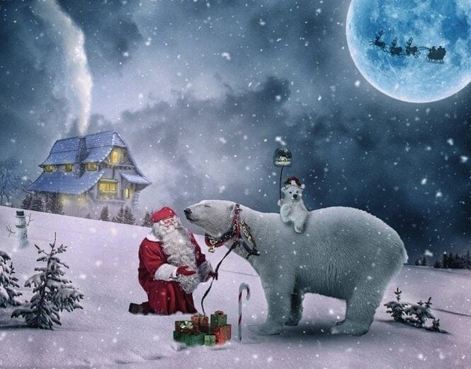 paintingnumberart Paint By Numbers Kit -Polar Bears And Santa Claus
