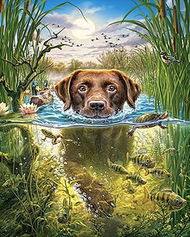 paintingnumberart Paint By Numbers Kit – Puppy swimming