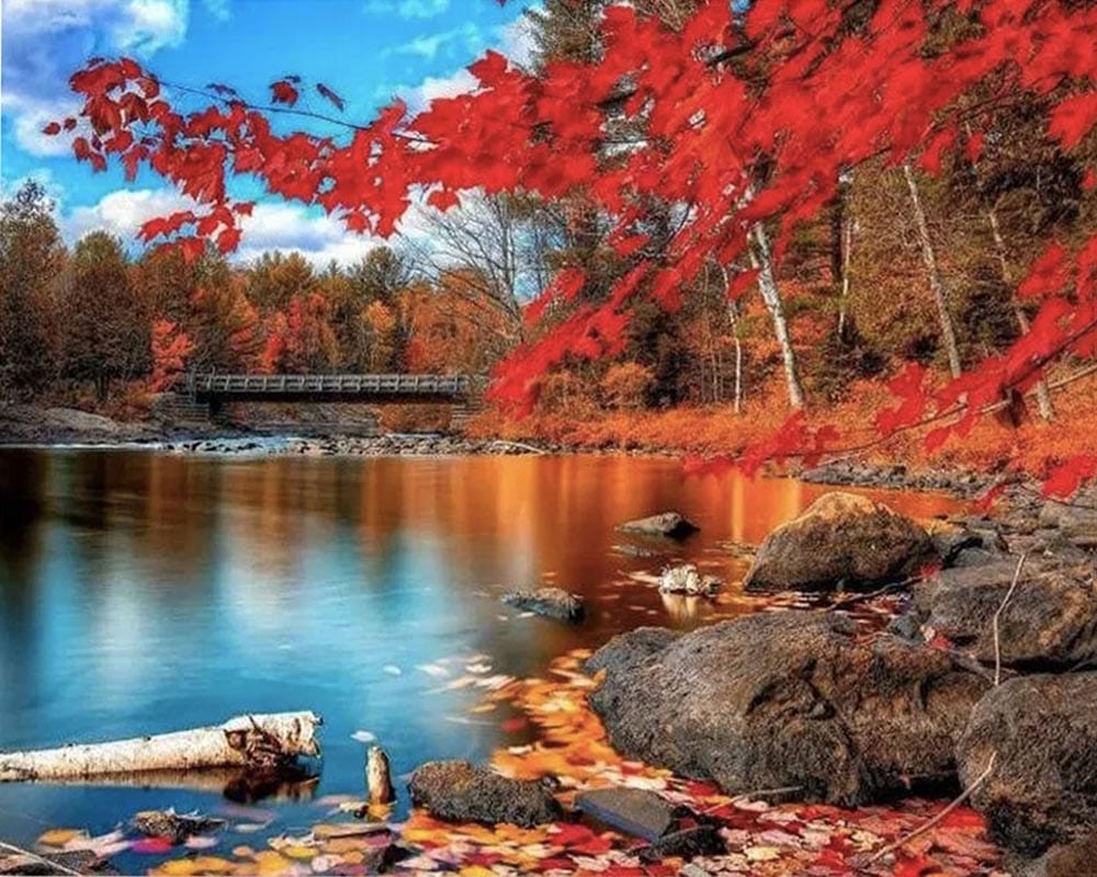 paintingnumberart Paint By Numbers Kit-Red Lake