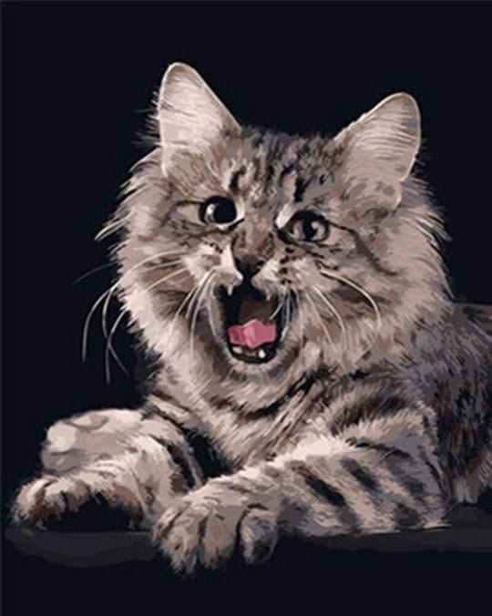 paintingnumberart Paint By Numbers Kit – Roaring Maine Coon Cat