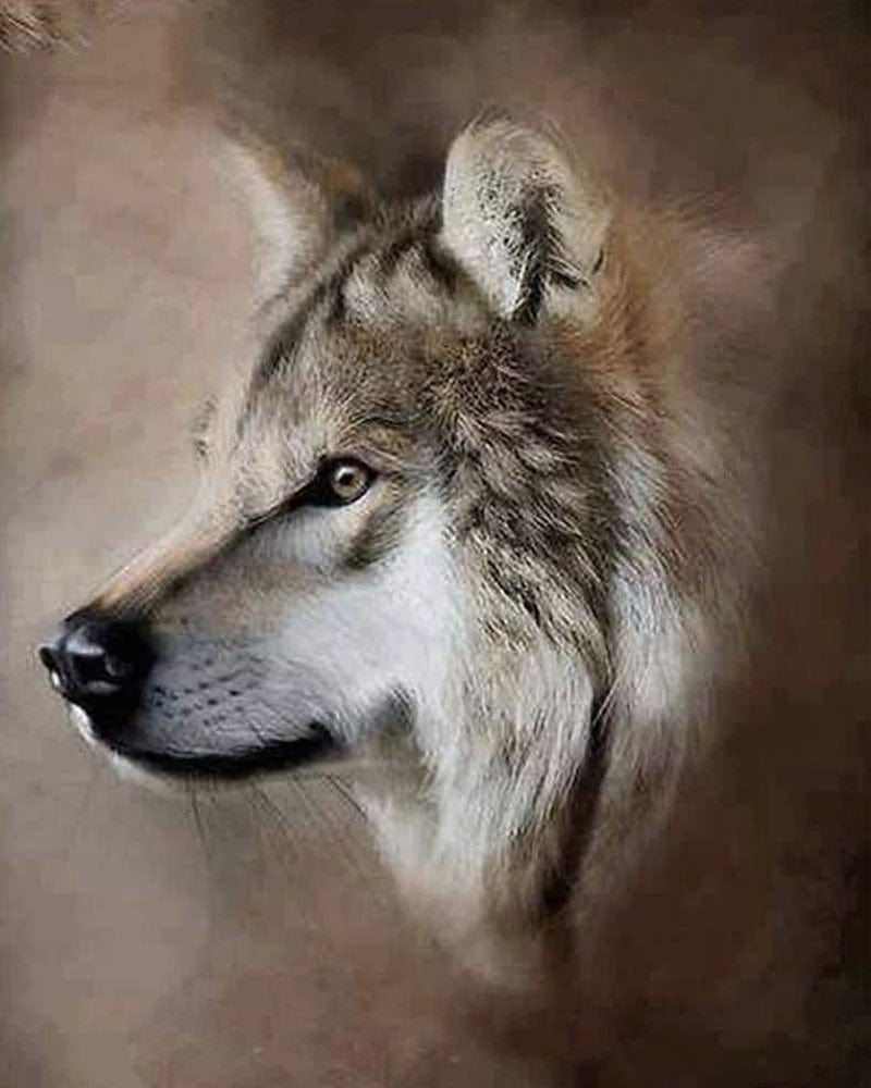paintingnumberart Paint By Numbers Kit – Sand Storm Wolf