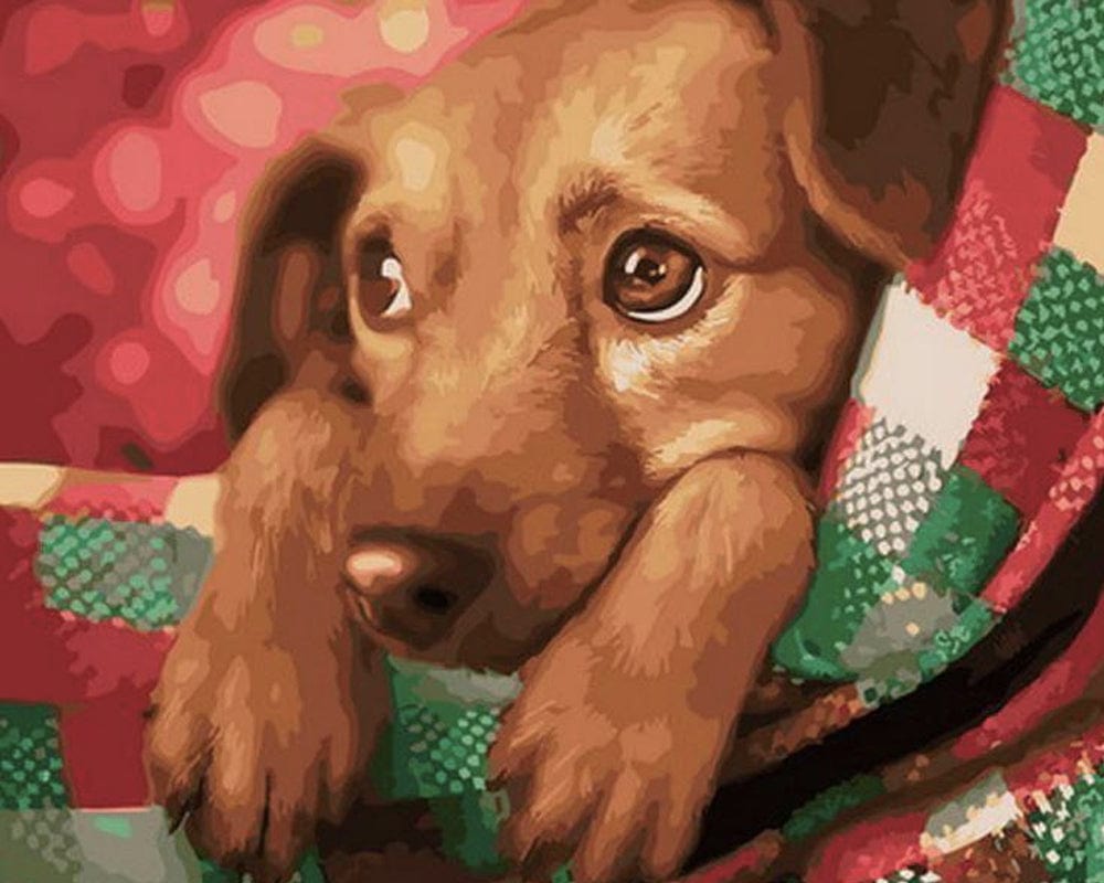 paintingnumberart Paint By Numbers Kit – Sick Dog