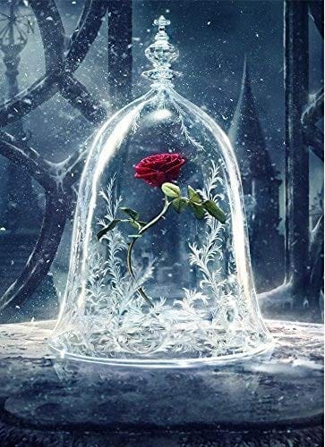 paintingnumberart Paint By Numbers Kit –  Single rose