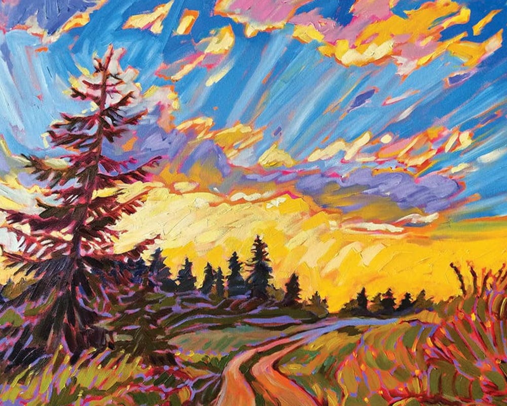 paintingnumberart Paint By Numbers Kit – Sky Wide Open