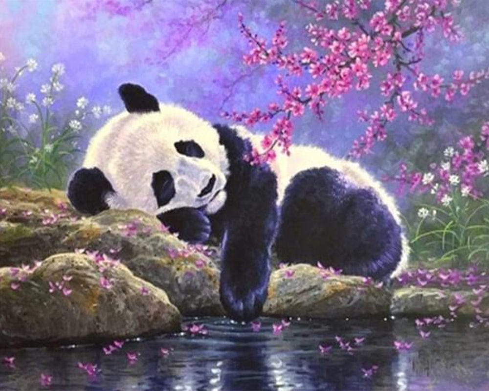paintingnumberart Paint By Numbers Kit – Sleeping Panda