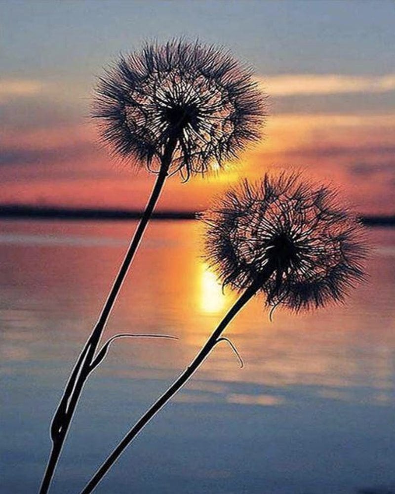 paintingnumberart Paint By Numbers Kit – Sunset Dandelion