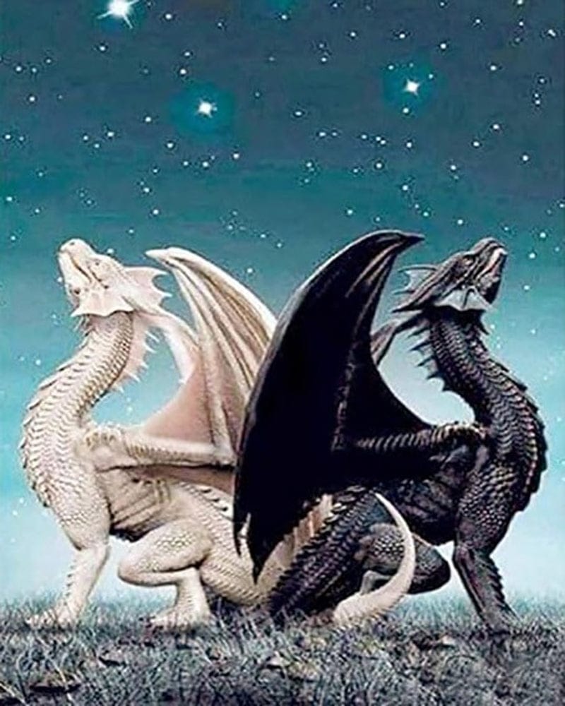 paintingnumberart Paint By Numbers Kit – Two dragons